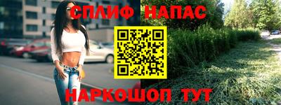 герыч Моздок