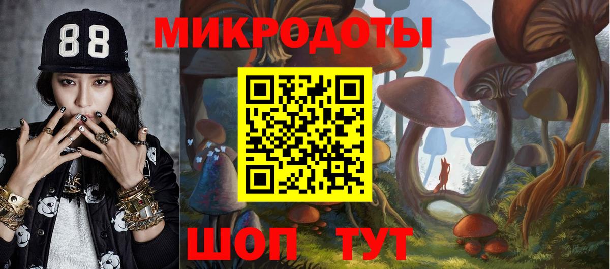 Шали  Псилоцибиновые грибы Psilocybine cubensis  Вход с VPN  Псилоцибиновые грибы Psilocybe 