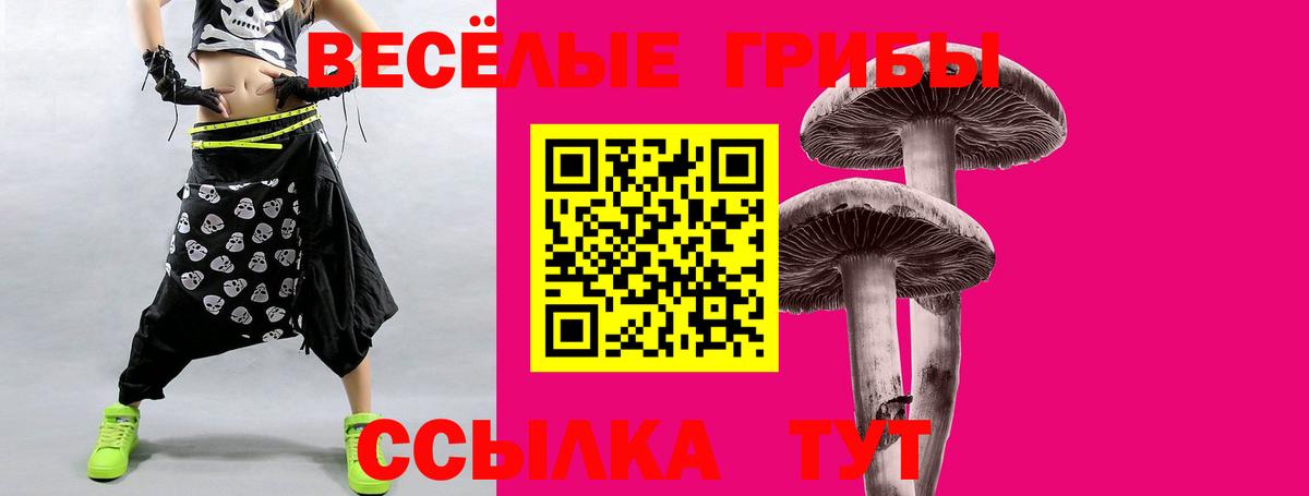 Галлюциногенные грибы мицелий Шали